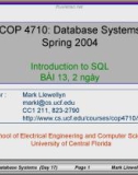 Database Systems - Part 13