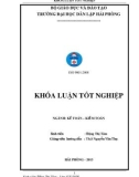 Khoá luận tốt nghiệp: Hoàn thiện tổ chức công tác kế toán doanh thu chi phí và xác định kết quả kinh doanh tại chi nhánh Công ty TNHH thương mại Cửu Phú