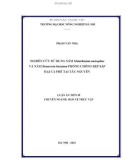 Luận án Tiến sĩ: Nghiên cứu sử dụng Nấm Metarhizium anisopliae và Nấm Beauveria bassiana phòng chống rệp sáp hại cà phê tại Tây Nguyên