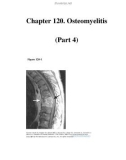 Chapter 120. Osteomyelitis (Part 4)