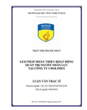 Luận văn Thạc sĩ: Giải pháp hoàn thiện hoạt động quản trị nguồn nhân lực tại Công ty Cholimex