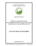 Luận văn Thạc sĩ Lâm nghiệp: Nghiên cứu đặc điểm sinh học loài sâu róm 4 túm lông (Dasychira axutha Collenette) hại thông mã vĩ tại Lộc Bình, Lạng Sơn