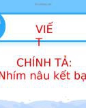 Bài giảng môn Tiếng Việt lớp 2 sách Kết nối tri thức năm học 2021-2022 - Bài 20: Chính tả Nhím nâu kết bạn (Trường Tiểu học Thạch Bàn B)