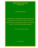 Luận án Tiến sĩ Nông nghiệp: ảnh hưởng của dinh dưỡng đến sinh trưởng quần thể, chất lượng của ba loài vi tảo (Nannocholoropsis oculata, Isochrysis galbana và Tetraselmis và Luân trùng (Brachionus plicatilis)