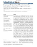 Polyester production by halophilic and halotolerant bacterial strains obtained from mangrove soil samples located in Northern Vietnam