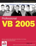 Professional VB 2005 - 2006 phần 1