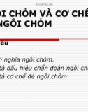 NGÔI CHỎM VÀ CƠ CHẾ ĐẺ NGÔI CHỎM