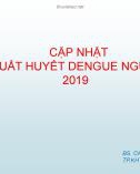 Bài giảng Cập nhật sốt xuất huyết Dengue người lớn 2019 - BS. CKII. Nguyễn Thanh Trường