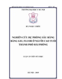 Luận án tiến sĩ Y học: Nghiên cứu dự phòng sâu răng bằng gel Fluor ở người cao tuổi thành phố Hải Phòng