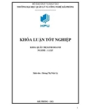 Khóa luận tốt nghiệp ngành Luật: Bảo hộ quyền sở hữu trí tuệ đối với nhãn hiệu tại Việt Nam - Những vấn đề lý luận và thực tiễn