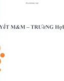 Bài giảng Bài 4c: Lý thuyết M&M – Trường hợp có thuế