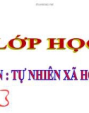 Bài giảng  TNXH 1 bài 16: Hoạt động ở lớp