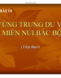 Bài giảng Địa lý 9 - Bài 18: Vùng Trung du và miền núi Bắc Bộ