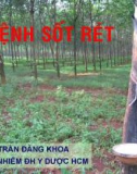 Bài giảng Bệnh sốt rét - BS. Trần Đăng Khoa