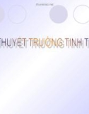 Thuyết trình: Tinh thể ( trường phối tử)