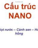 Cấu trúc NANO