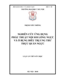 Luận án tiến sĩ Y học: Nghiên cứu ứng dụng phẫu thuật nội soi lồng ngực và ổ bụng điều trị ung thư thực quản ngực