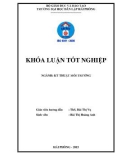 Đồ án tốt nghiệp ngành Kỹ thuật môi trường: Nghiên cứu khả năng xử lý Cr6+ trong nước bằng thải của vật liệu hấp phụ chế tạo từ lá thông