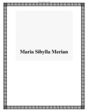 Maria Sibylla Merian