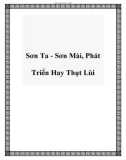 Sơn Ta - Sơn Mài, Phát Triển Hay Thụt Lùi