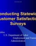 Conducting Statewide Customer Satisfaction Surveys