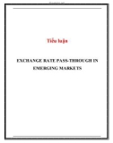 Tiểu luận: Exchange rate pass - through in emerging markets