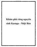 Khám phá rừng nguyên sinh Kasuga