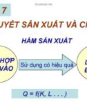 Lý thuyết sản xuất  và chi phí