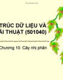 Cấu trúc dữ liệu và giải thuật - chương 10