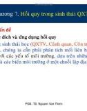 Hồi quy trong sinh thái