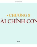 Bài giảng Lý thuyết tài chính tiền tệ: Chương 8 - Phạm Đặng Huấn