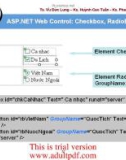 ASP.NET Web Control: Checkbox, RadioButton