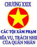 Bài giảng Luật Hình sự Việt Nam: Chương 29 - ThS. Trần Đức Thìn