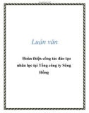 Luận văn: Hoàn thiện công tác đào tạo nhân lực tại Tổng công ty Sông Hồng