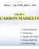 Thuyết trình: Carbon Markets