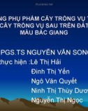 ĐỀ TÀI : SỬ DỤNG PHỤ PHẨM CÂY TRỒNG VỤ TRƯỚC CHO CÂY TRỒNG VỤ SAU TRÊN ĐẤT BẠC MÀU BẮC GIANG