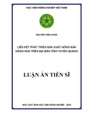 Luận án Tiến sĩ Kinh tế nông nghiệp: Liên kết phát triển sản xuất nông sản hàng hóa trên địa bàn tỉnh Tuyên Quang