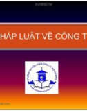 Pháp luật về công ty