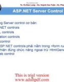 giới thiệu ASP.NET Server Control