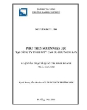 Luận văn Thạc sĩ Quản trị kinh doanh: Phát triển nguồn nhân lực tại Công ty TNHH MTV Cao su Chư Mom Ray