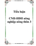 Tiểu luận CNH-HĐH nông nghiệp nông thôn 2