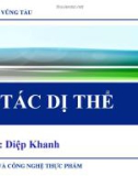 Xúc tác dị thể - Trường Đại học Bà Rịa Vũng Tàu