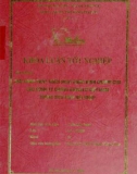 Khóa luận tốt nghiệp: Giải pháp phát triển hoạt động kinh doanh của các công ty chứng khoán ở Việt Nam trong điều kiện hội nhập