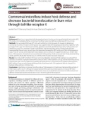 Commensal microflora induce host defense and decrease bacterial translocation in burn mice through toll-like receptor 4