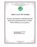 SỬ DỤNG CHỈ THỊ PHÂN TỬ MICROSATELLITE ĐÁNH GIÁ ĐA DẠNG DI TRUYỀN CÁC DÕNG KEO LÁ TRÀM (Acacia auriculiformis)