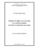 Luận văn Thạc sĩ Kinh tế: Nghiên cứu động lực làm việc của người lao động tại Công ty kính nổi Viglacera
