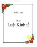 Tiểu luận  Luật Kinh tế - SV. Nguyễn Thế Hùng