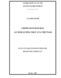 Luận văn Thạc sĩ Kinh tế chính trị: Chính sách đảm bảo an ninh lương thực của Việt Nam