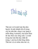 Thú mỏ vịt