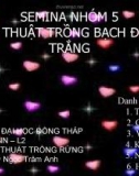 Đề tài: KỸ THUẬT TRỒNG BẠCH ĐÀN TRẮNG